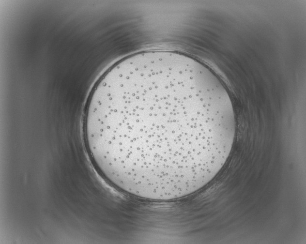 X0000074311484200609222348