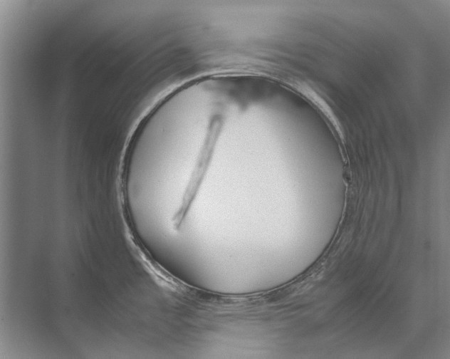 X0000074311485200609222348