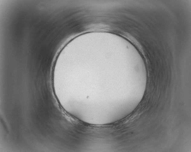 X0000074311488200609222348