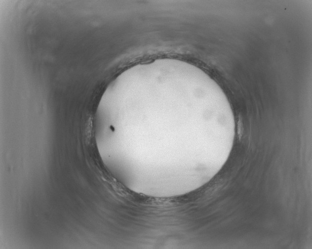 X0000074311492200609222347