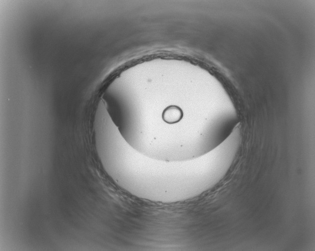 X0000074311496200609222347