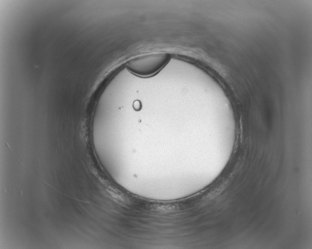 X0000074311501200609222347