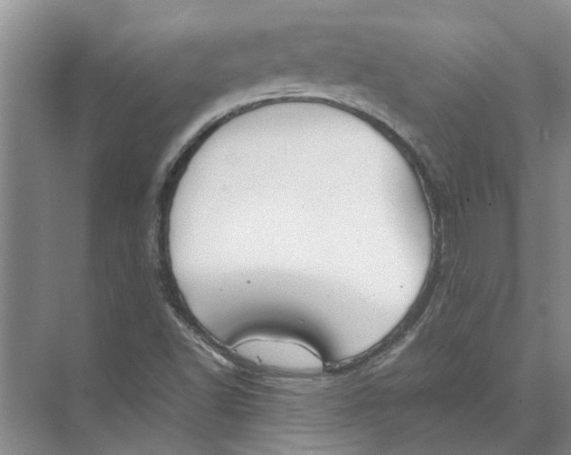 X0000074311502200609222347