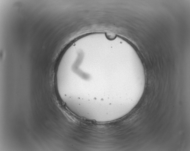 X0000074311507200609222347