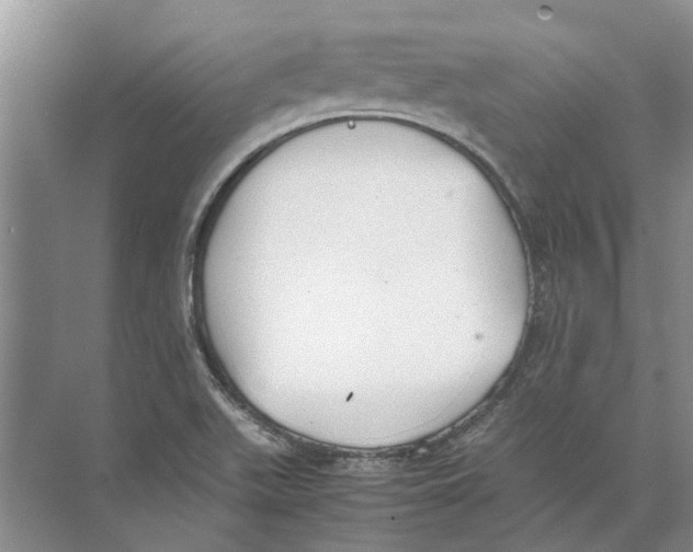 X0000074311511200609222347