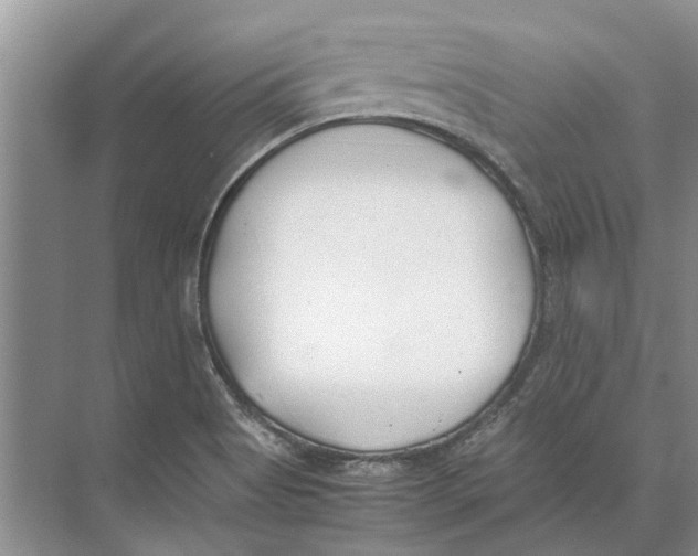 X0000074311513200609222347