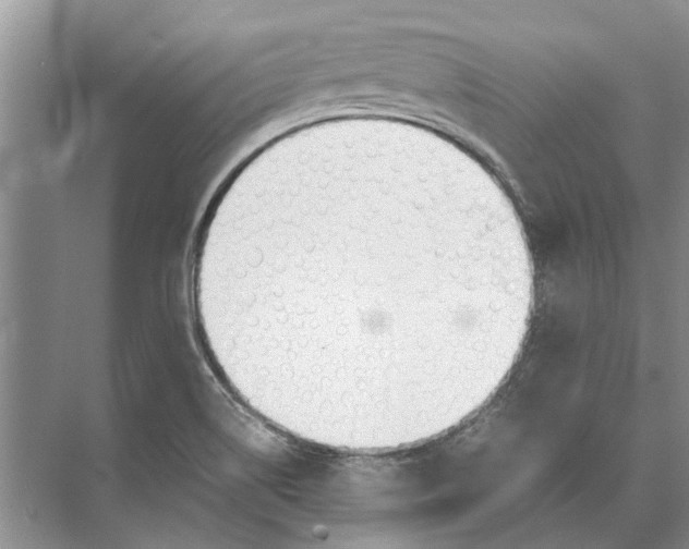 X0000074311514200609222347