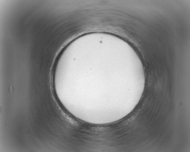 X0000074311517200609222347