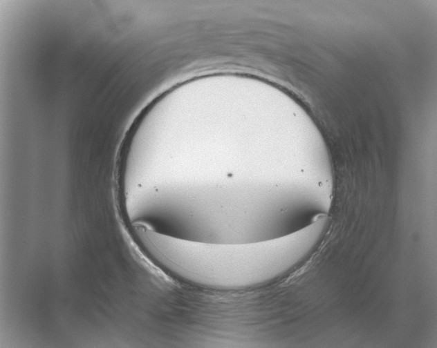 X0000074311518200609222347