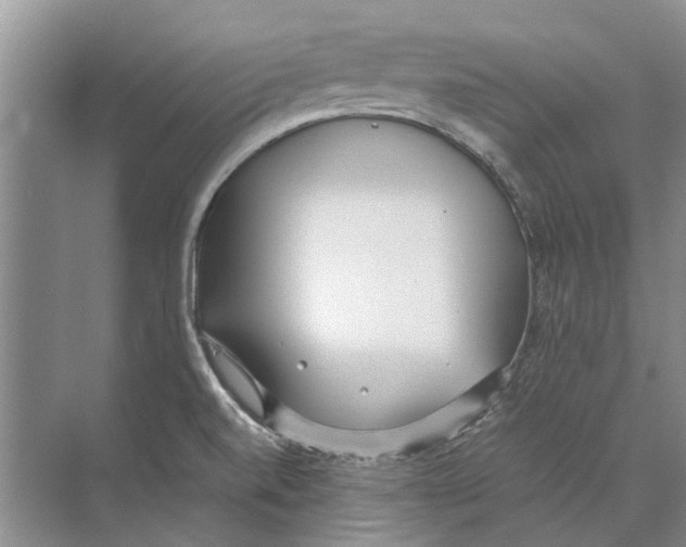 X0000074311520200609222347