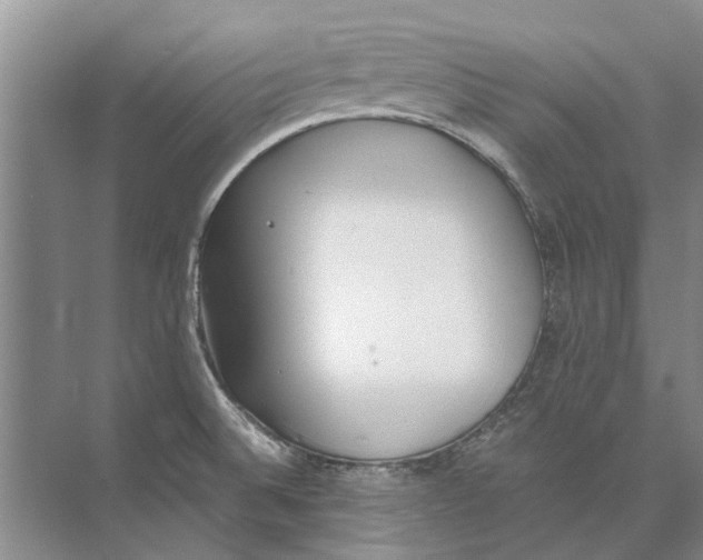 X0000074311524200609222347