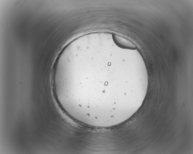 X0000074311526200609222347