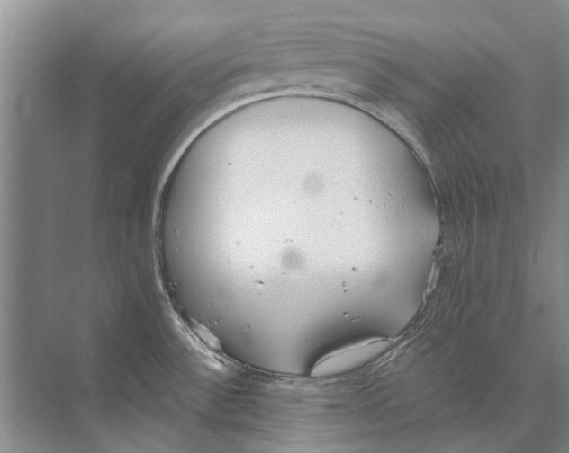 X0000074311532200609222348