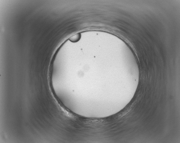 X0000074311533200609222348