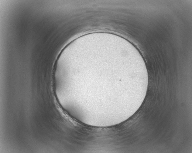 X0000074311534200609222348