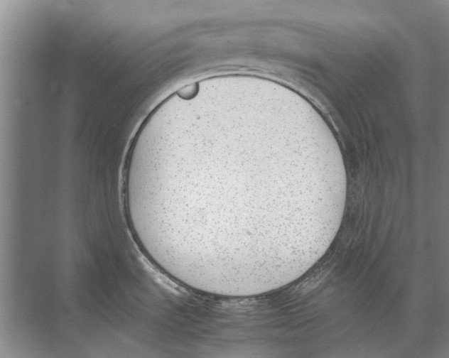 X0000074311535200609222348