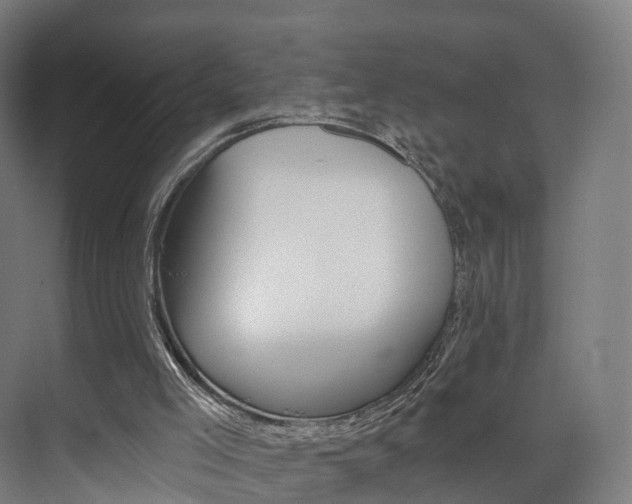 X0000074320005200608251042