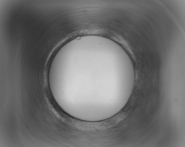 X0000074320012200608251042