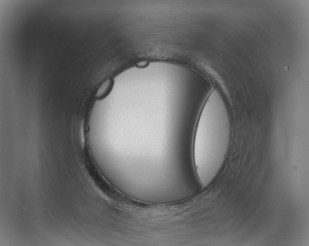 X0000074320020200608251042