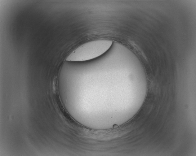 X0000074320026200608251042