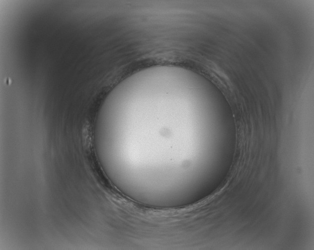 X0000074320029200608251042