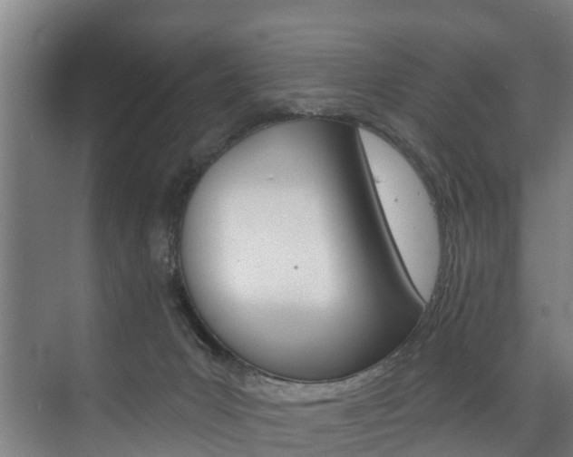 X0000074320031200608251042