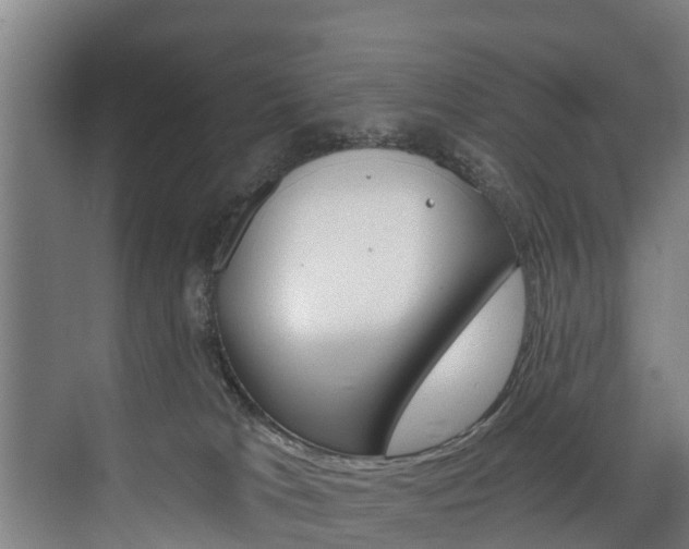 X0000074320037200608251042