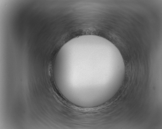 X0000074320038200608251042