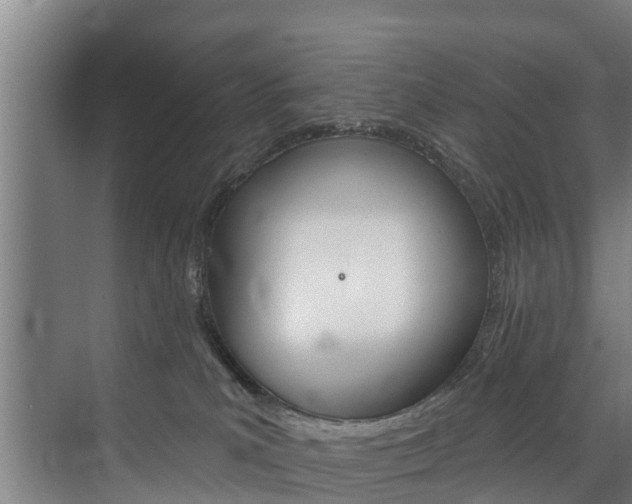 X0000074320039200608251042