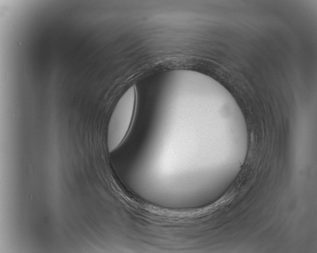 X0000074320048200608251042