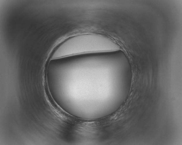X0000074320054200608251041