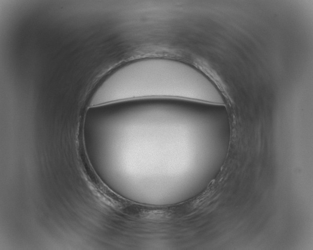 X0000074320058200608251041