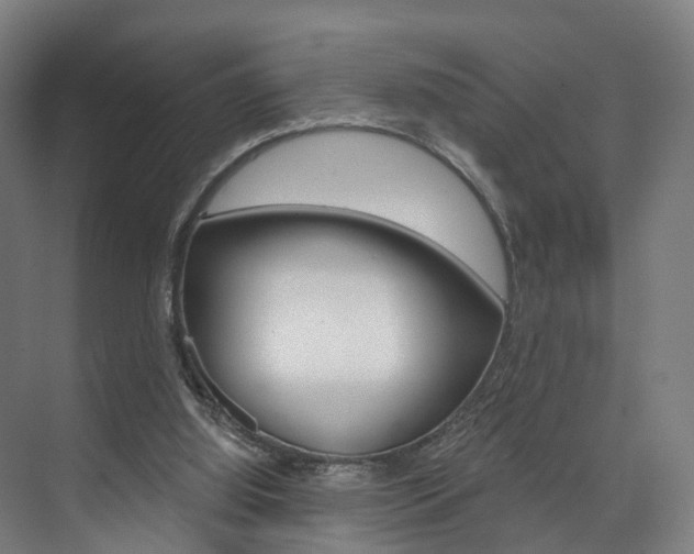 X0000074320060200608251041