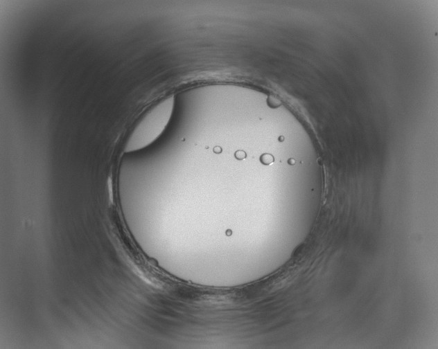 X0000074320061200608251041