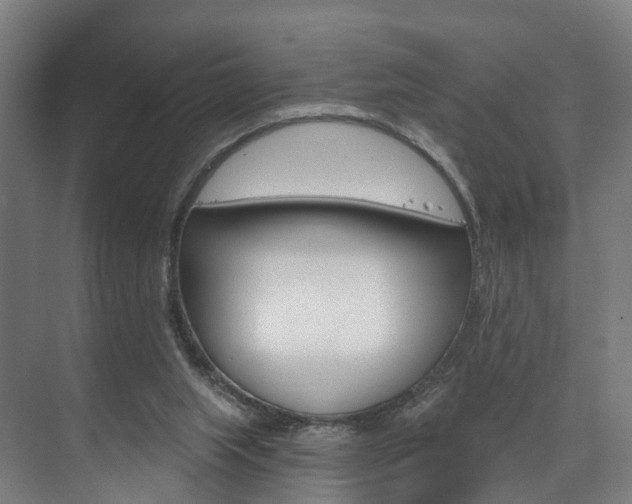 X0000074320063200608251041