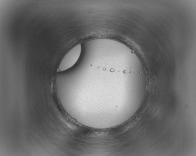 X0000074320065200608251041