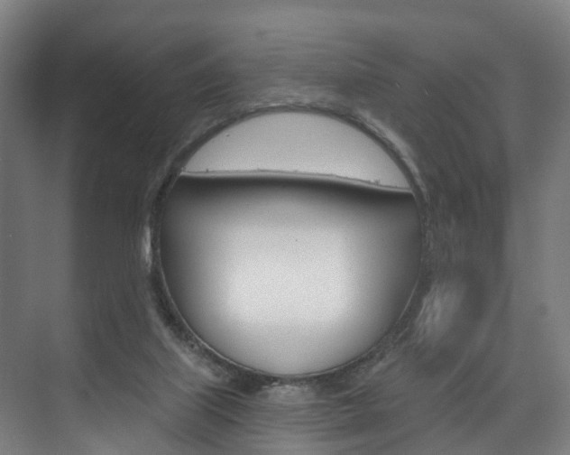 X0000074320067200608251041