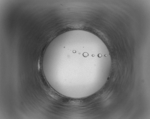 X0000074320069200608251041