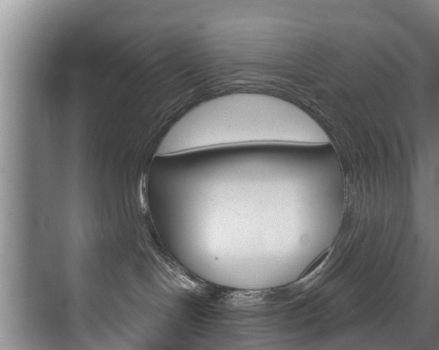 X0000074320094200608251042