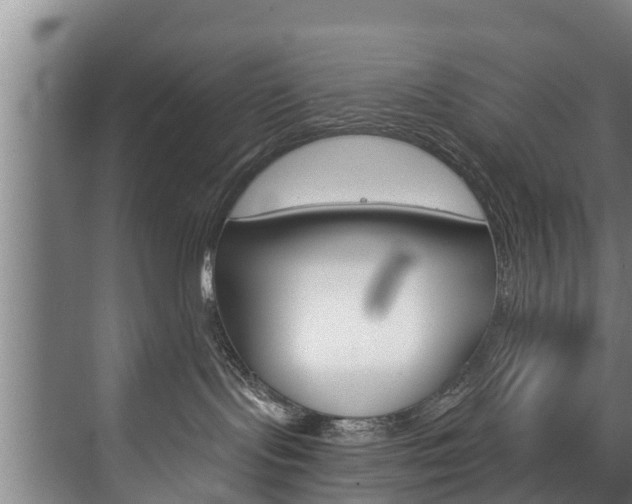 X0000074320095200608251042