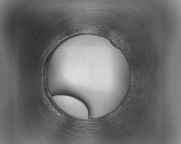 X0000074320098200608251041