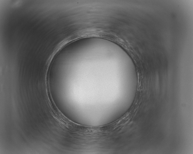 X0000074320099200608251041