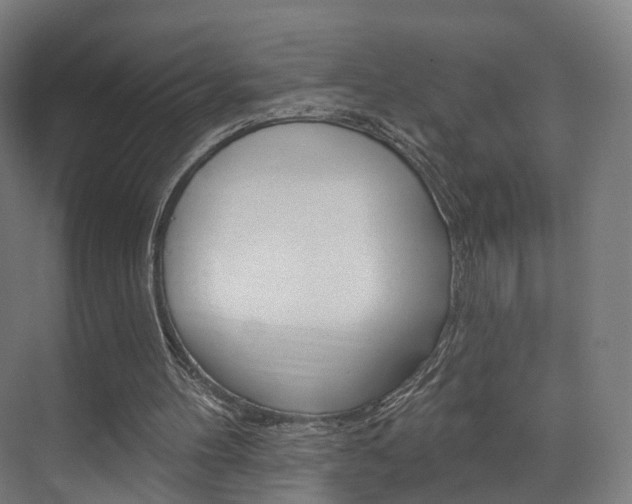 X0000074320100200608251041