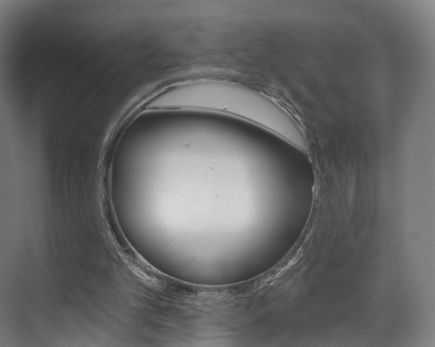 X0000074320101200608251041
