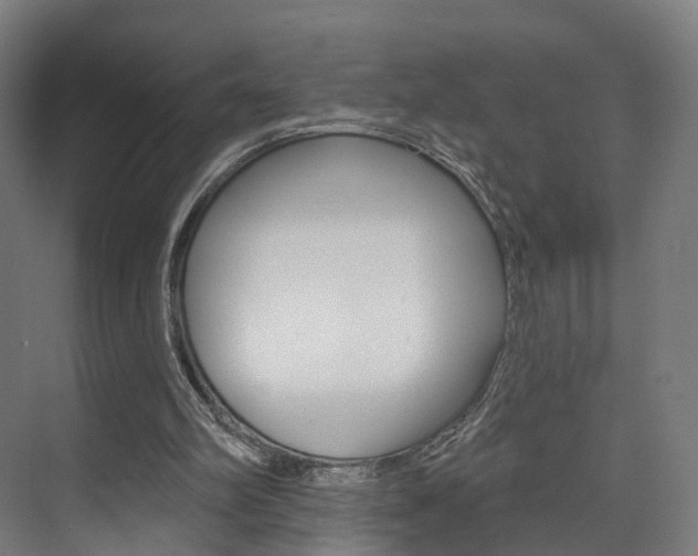X0000074320102200608251041