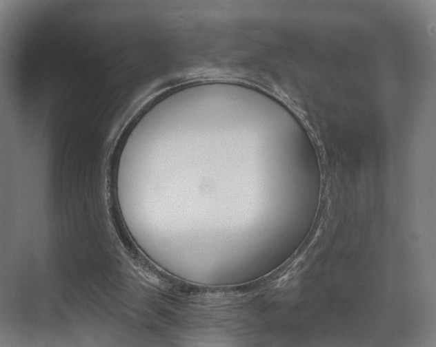 X0000074320103200608251041