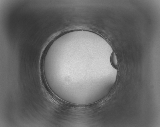 X0000074320104200608251041