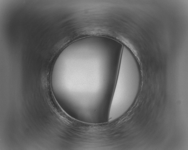 X0000074320105200608251041
