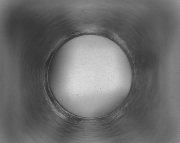 X0000074320106200608251041