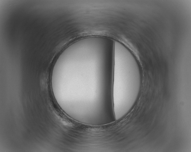 X0000074320107200608251041